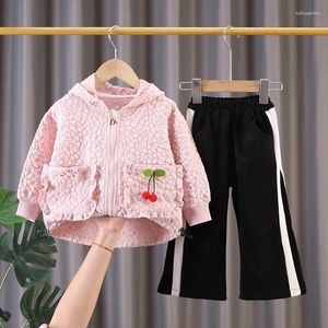 Set di abbigliamento per neonati coreani neonati 2024 gambita a maniche lunghe con cerniera di moda primaverile e pantaloni per bambini ragazze da 2 pezzi
