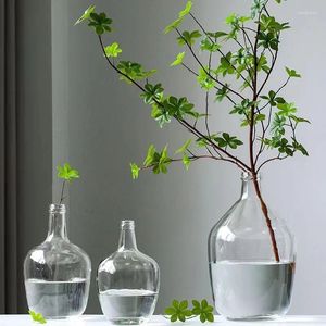 Vasos Cultura da água Vaso de vaso de vidro de vidro de vidro grande Dispositivo de dispositivos Decoração da sala de estar Sentimento simples de alta qualidade