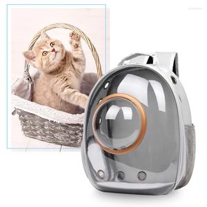 Transportadores de gatos Backpack Backpack Space Transparent Bag para Kitty Puppy Transportation Cage Acessórios