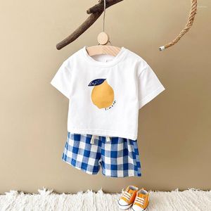 Roupas Conjuntos 2024 Born Summer Garoth Garotas Meninas Conjunto de limão Fruta T-shirt Manga curta Camiseta checada Beach Infant Toddler 0-3y