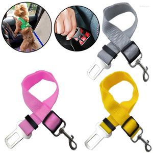 Colarinhos de cachorro Cantendo de correio de correio de carro sólido cor de cachorro ajustável Cats lideram tração de segurança da colméia chihuahua pug cães de animais de estimação accessoires