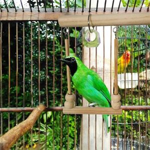 Andra fåglar levererar en svävar på träleksak som står med sin burhörn dåsiga lekleksaker för Tiger Skin Parrot