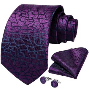 See Tie Set Luxry Tie Tie Red Paisley Black Mens Ties Свадебные аксессуары шеи галстук платки заполотки для мужчин подарок для мужчин