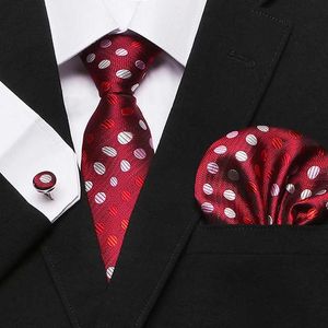 Neck Tie Set Factory Sale Mix Colors 2023 Ny design Silkbröllop Present Slips Set Tie Suit Accessories Floral Men Red Fit Formal Party