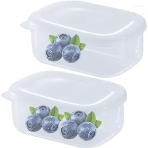 Bolsas de armazenamento Caixas de congelador organizador de geladeira com tampas de grande capacidade para o suporte de alimentos para armário de geladeira vegetais de cozinha