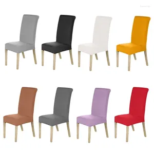 Sandalye kapakları ayarlanabilir düz elastik ev el restoran kapağı tam paket basit düz renk taburesi