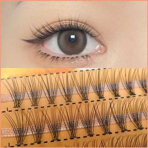 Falsche Wimpern Anlinnet 60cluster/Box Personal Eyelash Natural Soft 10D Eye Black False Extended Supply Make -up kostenlose Lieferung Q240510