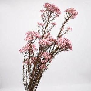 Decorative Flowers 50-60cm Mi Flower Bouquet Eternal Real Dried Floral Natural Home Decoration Wedding Party DIY Arrangement Decor 80 Gram