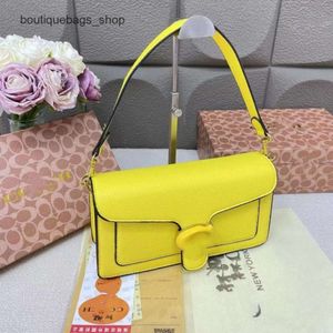 Luxury Brand Handbag Designer Women's Bag Bag Classic Single Shoulder Family Underarm Advanced39PY
