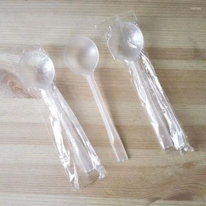 Posate usa e getta per la cucina domestica cucina cucchiaio di plastica trasparente zuppa di dessert gelato portatile 100pc/lotto