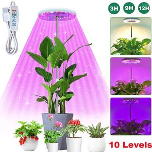 Grow Lights Angel Ring LED Full Spectrum Plant Crescimento Altura da lâmpada de halo ajustável para plantas internas Phytolamp diminuído