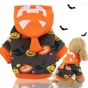 Abbigliamento per cani Lanterne di zucca si trasformano in divertenti forniture per animali domestici di Halloween Autunno e inverno