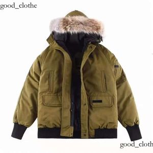 goose jacket Style Famous Designer Women Down Jackets Embroidery Letters Canadian Hooded Coat Women's Long Clothing Windproof Unisex Canadas Goosejacket 703