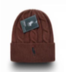 Nakış Polo Beanie Unisex Sonbahar Kış Beanies Erkekler ve Kadınlar İçin Şapka Şapka Klasik Sporlar Küçük At Kafatası Kapakları LAD9643607