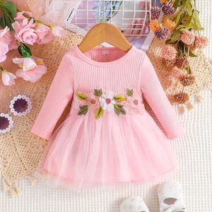 Sukienki dla dziewczynki dla dzieci 3-24 miesiąc mody długie rękaw słodkie kwiatowe hafty haftowe Tiul Tiulowy sukienki formalne sukienki noworodka Baby Girll2405