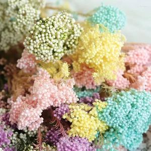 Dekoratif çiçekler 50g doğal darı meyve kurutulmuş çiçek oturma odası dekorasyon doğum günü gelin düğün buket yapay ücretsiz