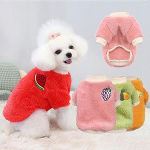 Abbigliamento per cani vestiti per animali domestici Autunno inverno maglione caldo per cani di tagliamoia Yorkshire Terrier Chihuahua Cute Cat Schnauzer Abbigliamento