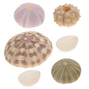 VASES 6 PCS SHELL CONCH INDOOR HANGINGPLANTER HOME SEA URCHIN DECORS DESKTOP DIY手作り花瓶の装飾