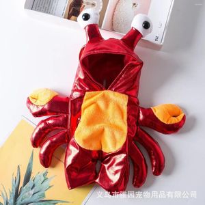 Dog Apparel Costume Pet Chucky Inspired Halloween Pumpkin Ride Design For Medium Pets Adjustable Fastener Tape Props
