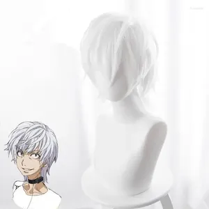 Party Supplies Toaru Majutsu No Index Accelerator cosplay peruk för man pojkar 30 cm kort rak anime värmebeständig syntetisk hår vit