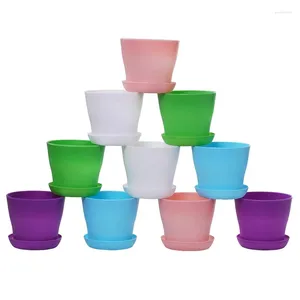 Disposable Cups Straws 10 Pcs Plastic Planters Indoor Flower Plant Pots Mini Seedlings Nursery Pot/Planter/Flower Pot With Pallet