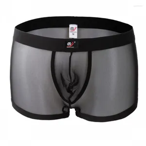 Cuecas veem através de roupas íntimas homens de renda calcinha masculina shorts malha transparente gay louco fofo engraçado