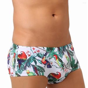 Menina de banho masculina calça de banheira Brand Man Swim Push-up Stretch Soft Sexy Swimming Swimming Male Surfing Surfing