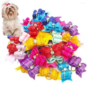 Hundkläder 10st/packar handgjorda hårklämmor med gummiband små hundar valp grooming accessoarer produkter