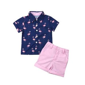 Kleidung Sets Lioraitiin 1-6-jährige Kleinkindjungen Gentleman Flamingo kurzärärmisches Hemd+Shorts Solid Color Hosen Hochzeitsfeier Sommer Set D240514