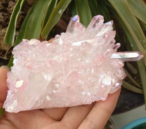 Naturalny różowy klaster kryształowy Zdrowie Klastra Energy kwarcowego Kryształowego Klastra do dekoracji 150G4049836