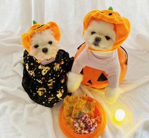 Hundkläder Halloween Pet Head Cover Dress Up Pumpkin Shape Cover. Detta med en huvudbonad!