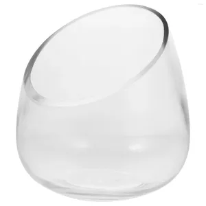 Vasos vidro vaso pequeno plantio de recipiente de recipiente de jardim vasos de jardim de jardim de jardim de jardim de ar livre plantadores de animais grandes terrários