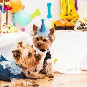 Hundkläder Lätt husdjurshatt Bedårande kostymtillbehör Mjuk justerbar katt födelsedag för festivaler Party Supplies Pets Pets