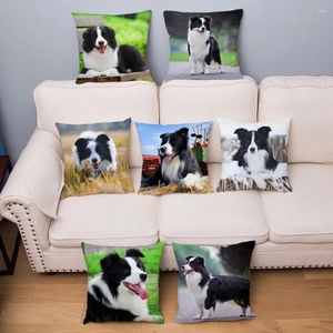 Pillow Scotland Border Collie Dog Cover Super Soft Short Plush Pillows Covers 45 Throw Case Car Home Decor Pillowcase