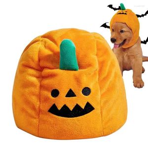 Hundkläder katt halloween hatt andas pumpa pumpa huvudbonad mjuk bärbar för semesterfest cosplay söt husdjur dagligen liv
