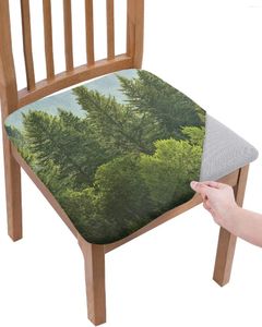 Chair Covers Green Pine Forests And Rain On Hillsides Elastic Seat Cover For Slipcovers Dining Room Protector Stretch