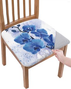 Chair Covers Watercolor Blue Flower Phalaenopsis Seat Cushion Stretch Dining Cover Slipcovers For Home El Banquet Living Room