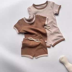 Kläder sätter babykläder koreansk stil fast färg bomull kort ärm shorts två bit set 2024 pojkar flickor sommar andas mjuk kostym