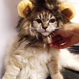 Dog Apparel Lion Wig Costume Cats Accessories Cute Funny Small And Medium-Sized Pet Mane For Decor