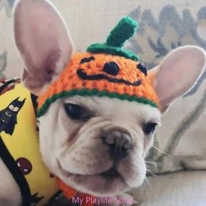 Hundekleidung Katze Halloween Kürbishut Hunde Party Schöne Dress Up Kostüm Festival Strick Cap Po Kopfbedeckung für Haustier