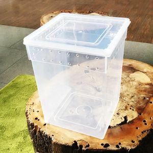 Reptile Feeding Box Tarantula Enclosure Turtle Tank Aquarium Lizard Container Habitat Cage For Frog Spider Gecko Tarantulas 240506