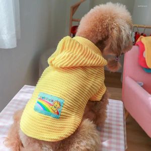 Ubrania z kapturem z kapturem Yellow Hooded Sweter Wygodne miękkie małe psy