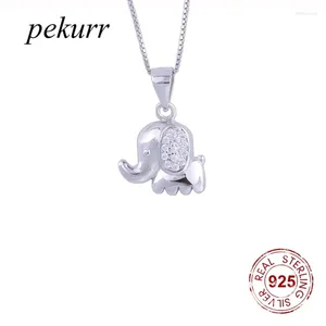 Pendants Pekurr 925 Sterling Silver Cute Zircon Baby Elephant Necklace For Women Mini Animal Choker Kids Fine Jewelry Gifts