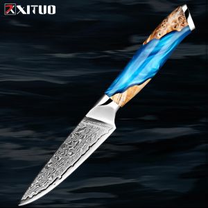 Coltello da cucina in acciaio damasco da 3,5 pollici da cucina piccola cucina coltello da frutto affilato VG10 Acciaio 67-strati manico ergonomico pieno tang