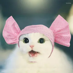 Hundkläder PET Kattdräkt söt hatt huvudbonader valp cap öron design katter peruk fest cosplay tillbehör kattunge