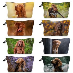 Sacchetti cosmetici Case per cani animali piccole scuole portatili portatili Irishsetter stampare sacca di calore trasferimento di trasferimento multifunzione da toilette multifunzione