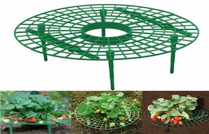 Stand Stand Stand Planting Balcony Planting Rack Support Fruit Stand Flower Climbing Vine Pillar Gardening Stand XBJK20039051500