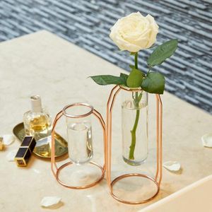 Vasos Luxo Luxo Nórdico Estilo Geométrico Metal Frame Testo Vaso Vaso Transparente Vidro Hidroponia Planter Decoração Home 2024