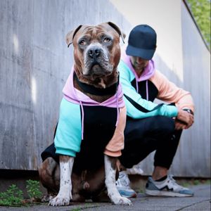 Luxury Designer Pet Clothes Dog Shirt Fashion Triangle Print Dog Cat Hoodie Pullover Warm Hoodie Knit Sweater Schnauzer Pet Jackets french bulldog floral flamingo