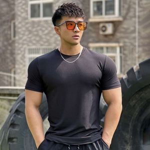 男性の新しいSフィットネストレーニングランニングレジャー垂直ストライプ半袖TシャツTRIPE HORT HORT LEEVE HIRT